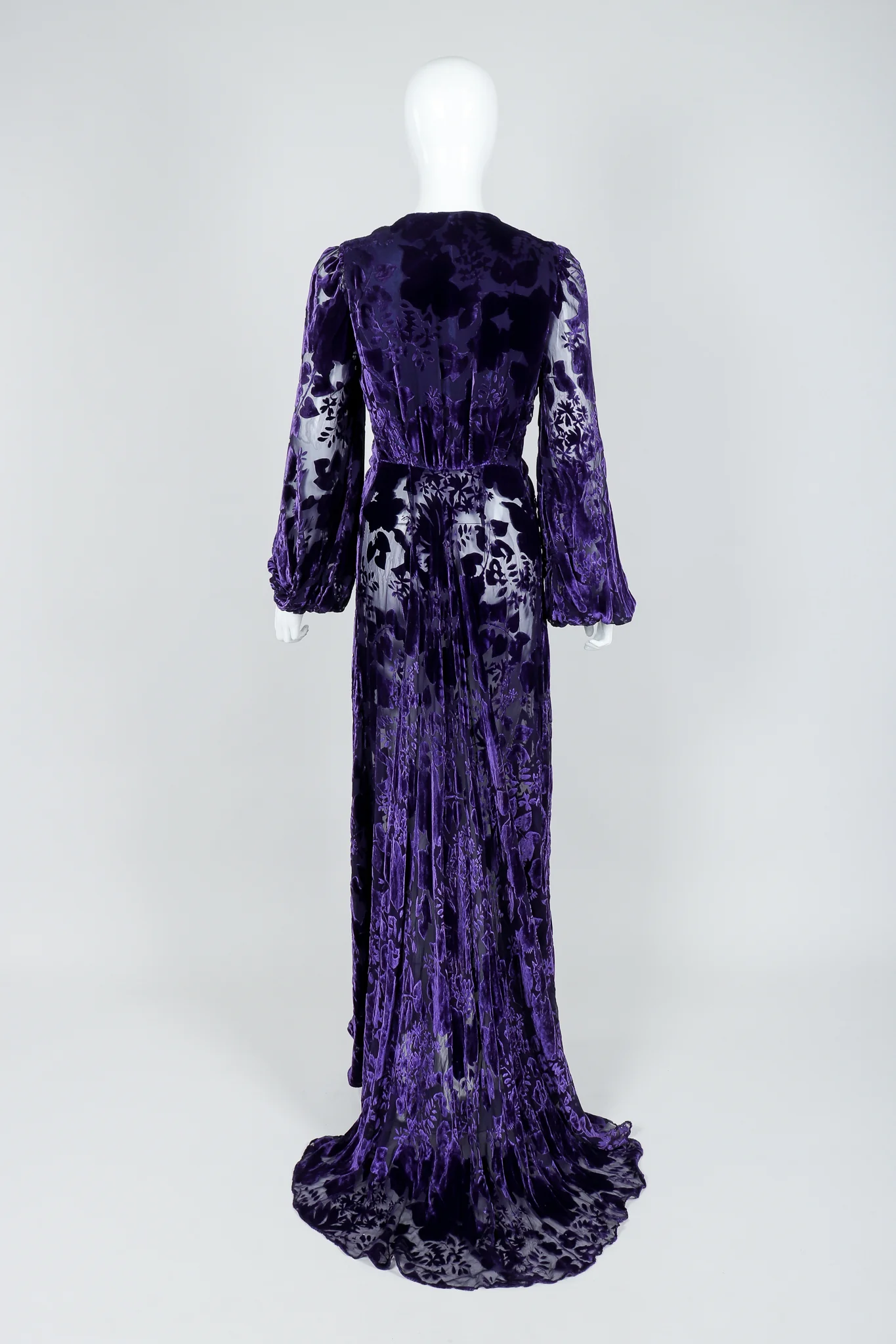 Sheer Velvet Burnout Gown - Image 5