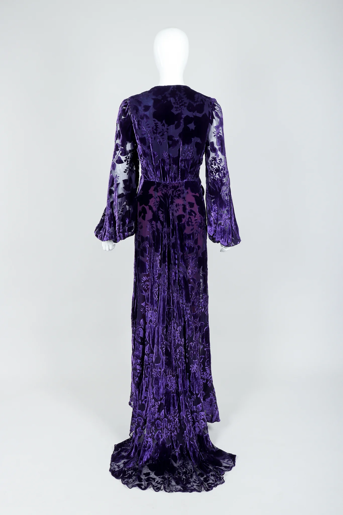 Sheer Velvet Burnout Gown - Image 9