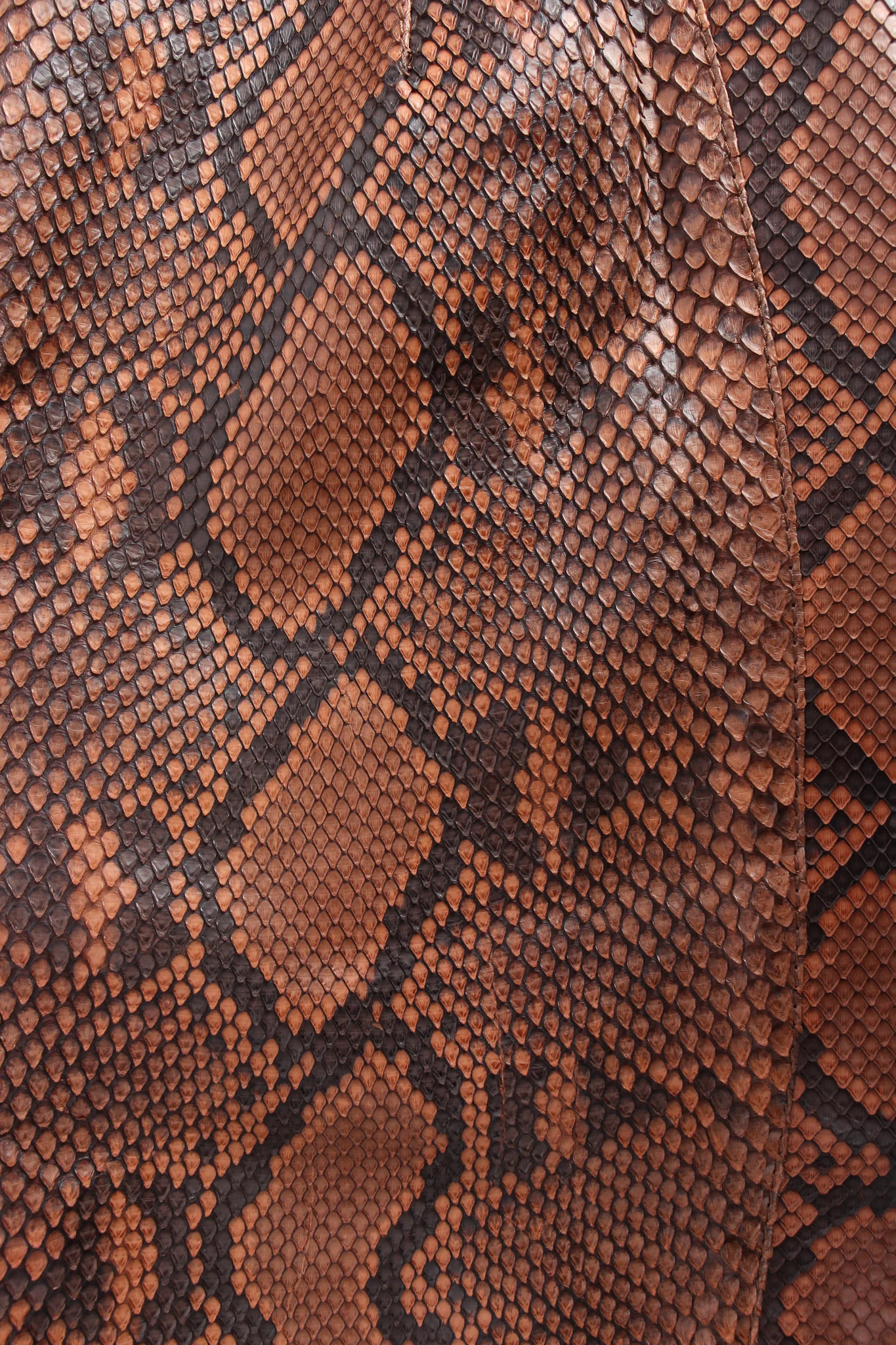 Snakeskin Bermuda Shorts - Image 4