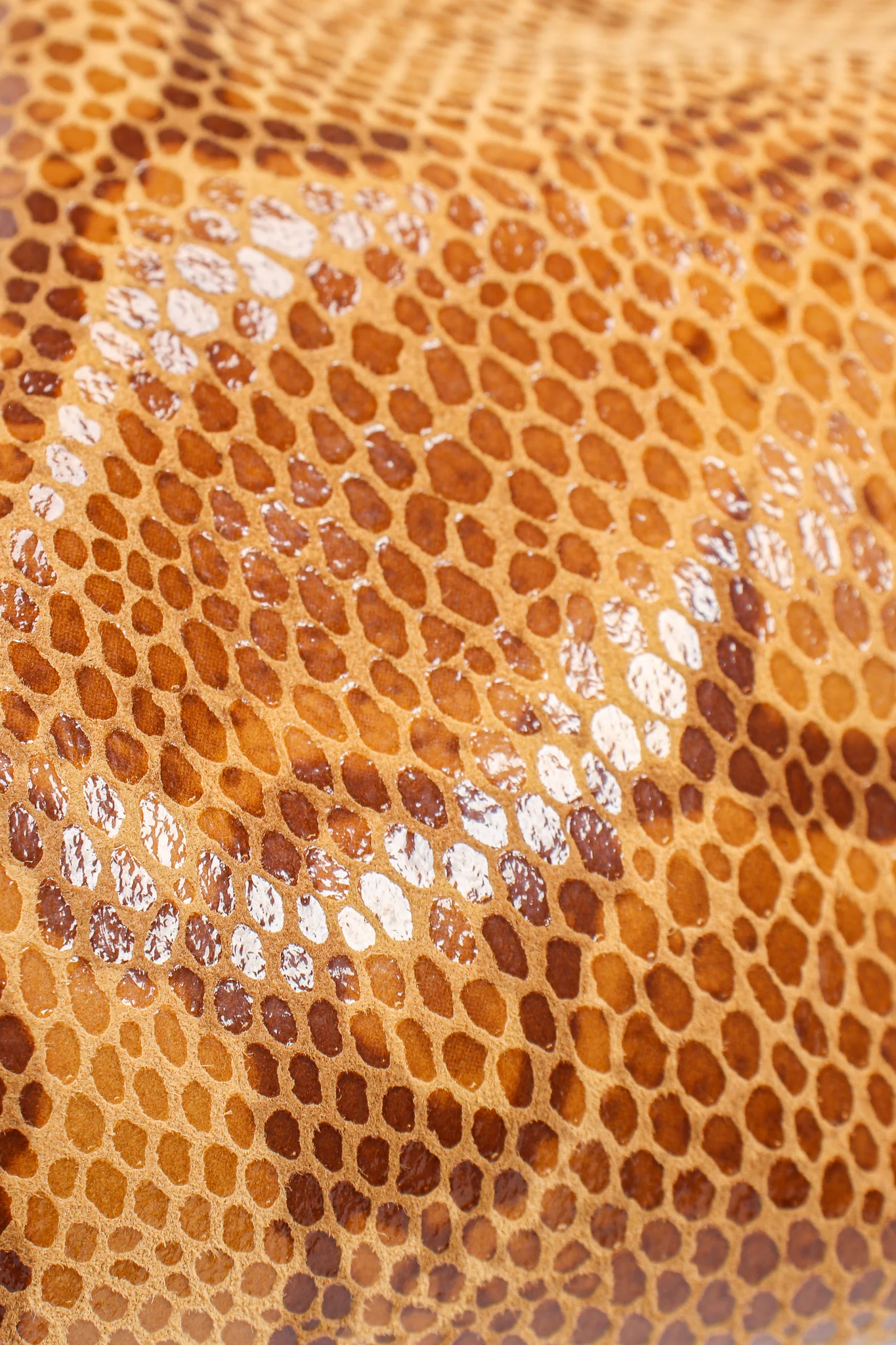Snakeskin Pant - Image 18