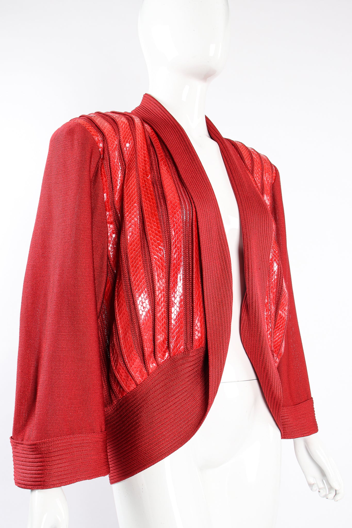 Striped Snake Bolero Jacket - Image 2