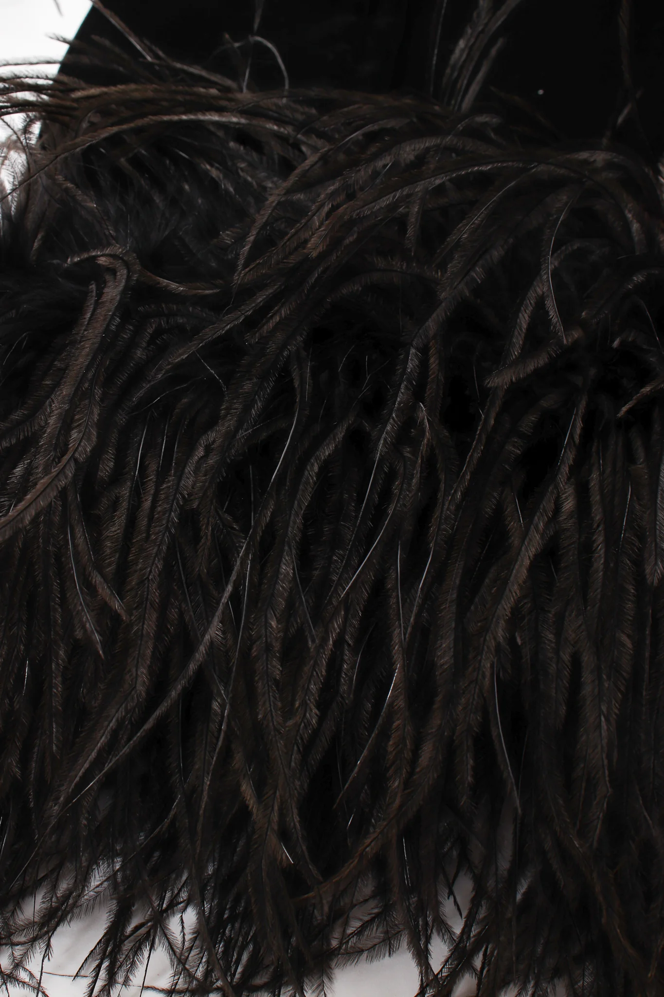 Velvet Ostrich Feather Trim Coat - Image 10