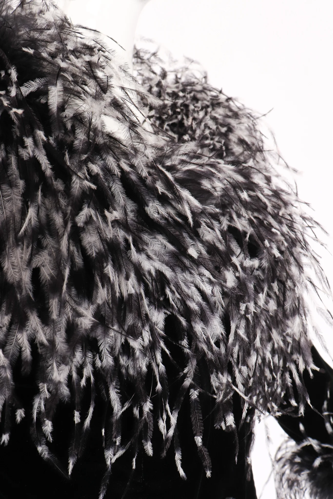 Velvet Ostrich Feather Jacket - Image 5